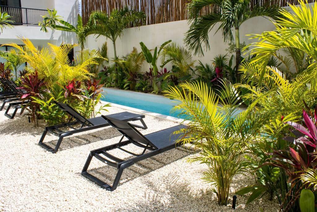 Apartment Departamento Con Alberca Privada En Tulum Tulum