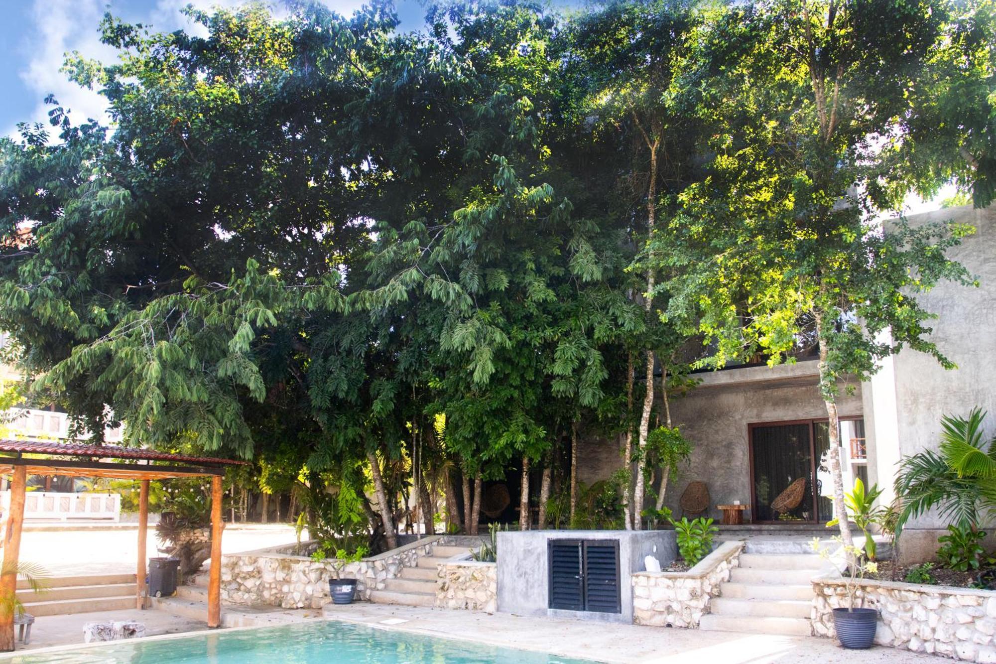 Hotel Casa Tortuga - Cenotes Park Inclusive 5*