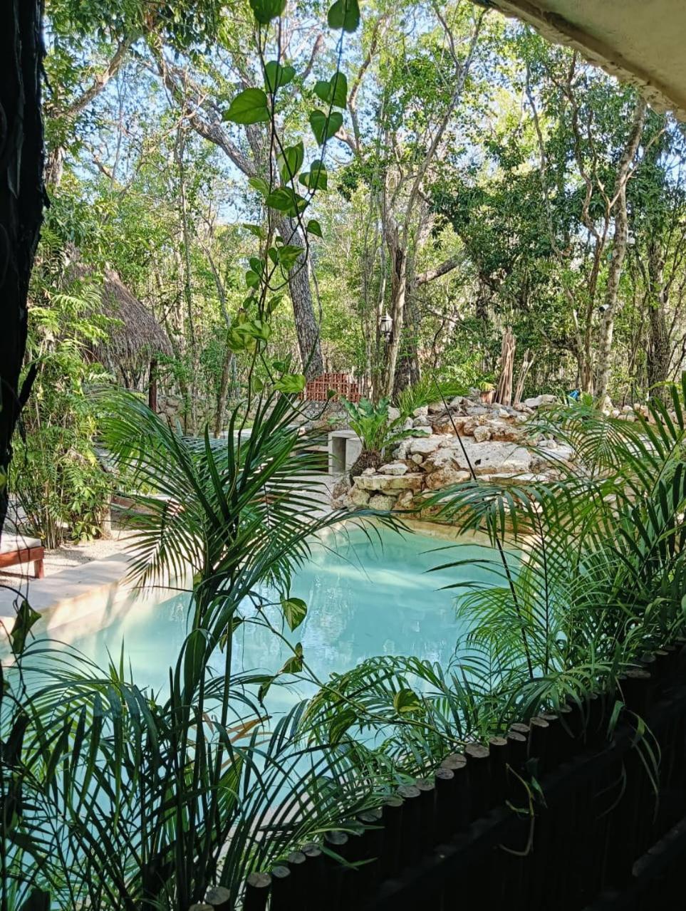 Apartment Agua & Selva Luxury Jungle Loft