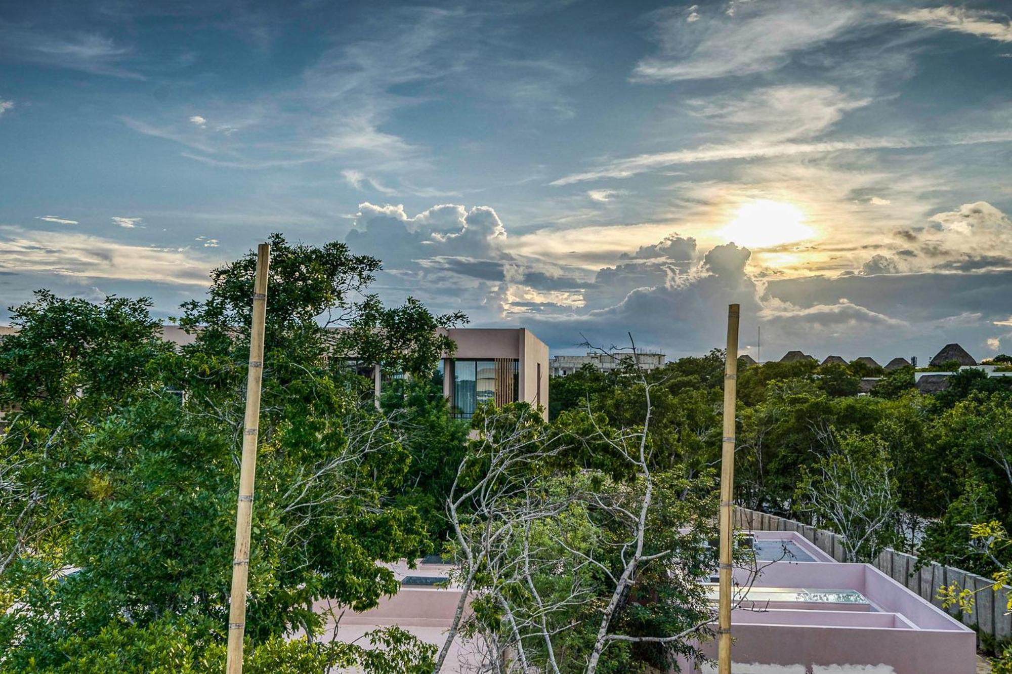 Stunning 1br In Jungle With Pool, Restaurant And Gym Apartment Tulum