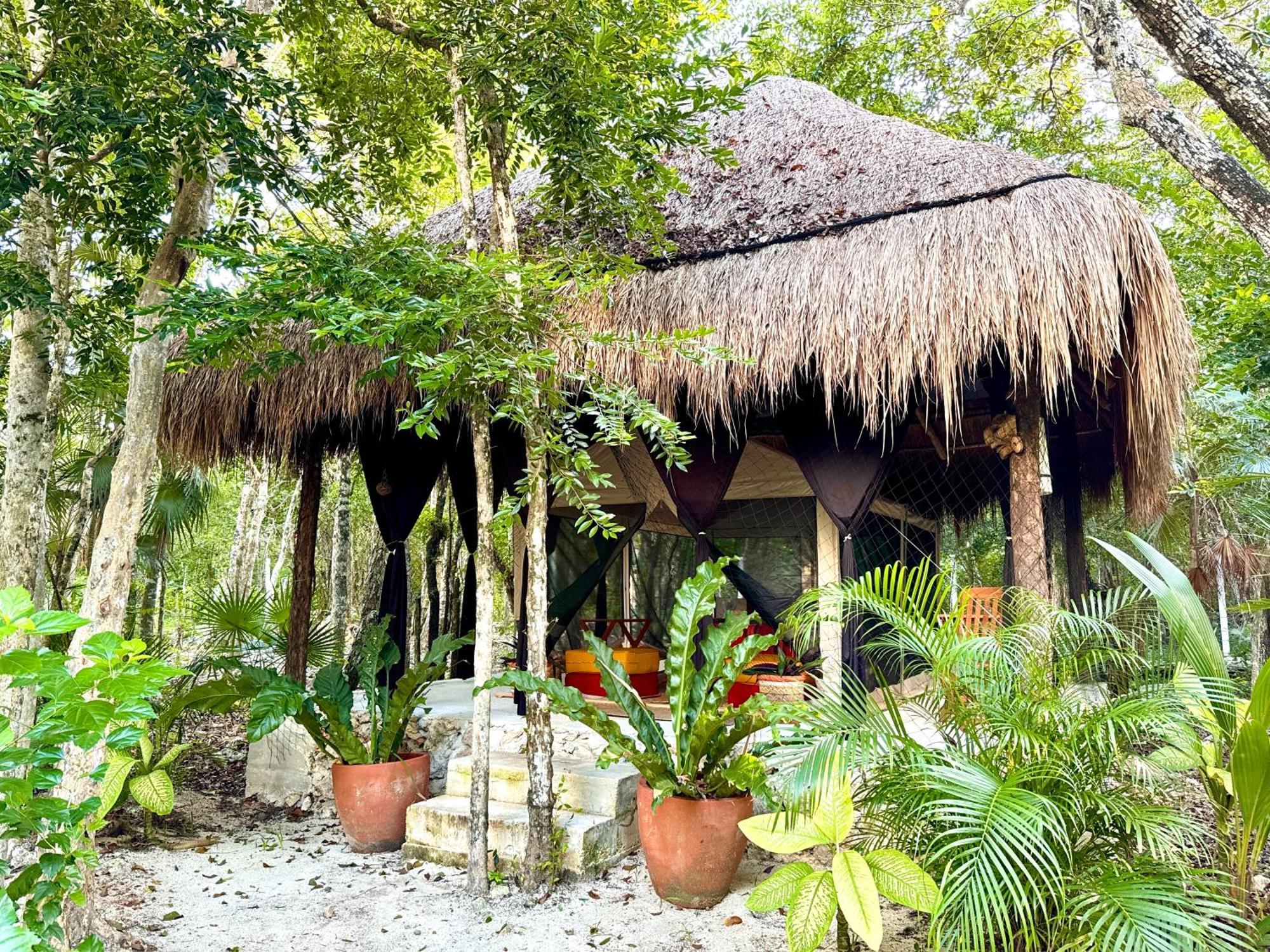 Glamping Bunga Lotus Acampamento Tulum