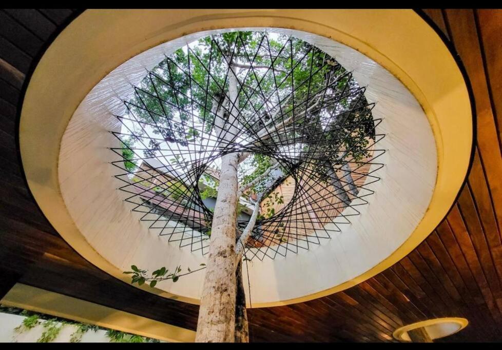 5 Star New Luxury With Cenote And Infinity Pool Apartment *