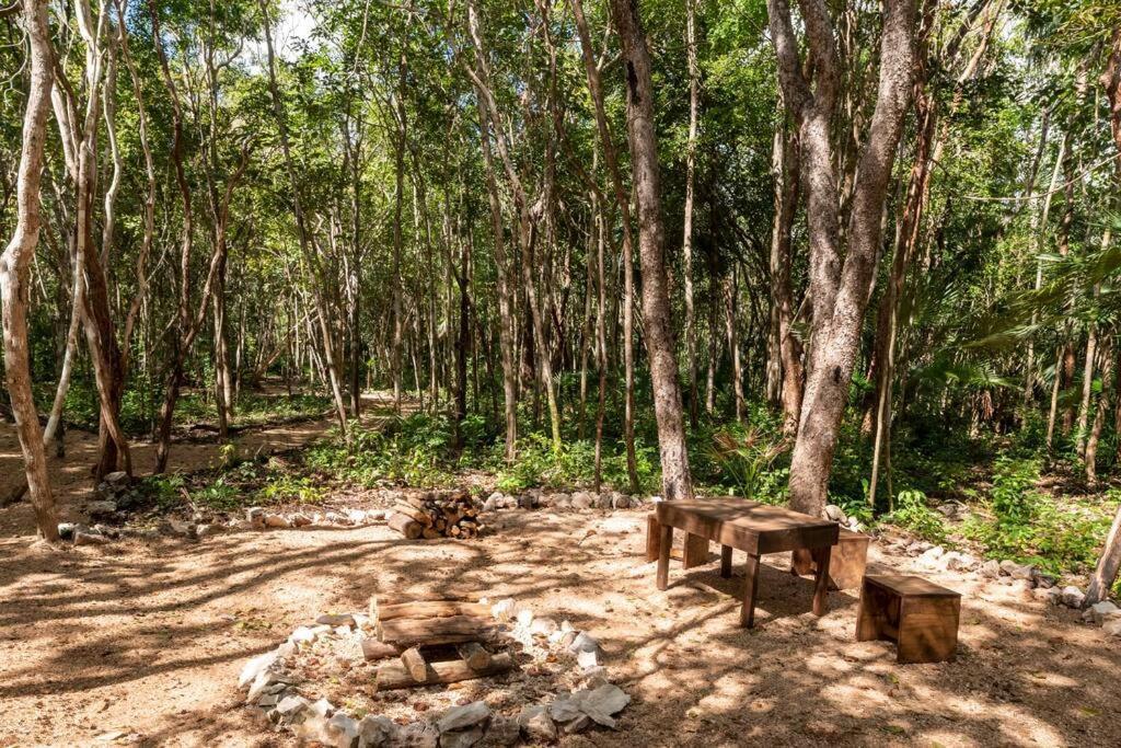 Zil-kaab Hidden Glamping Village Luxury tent *