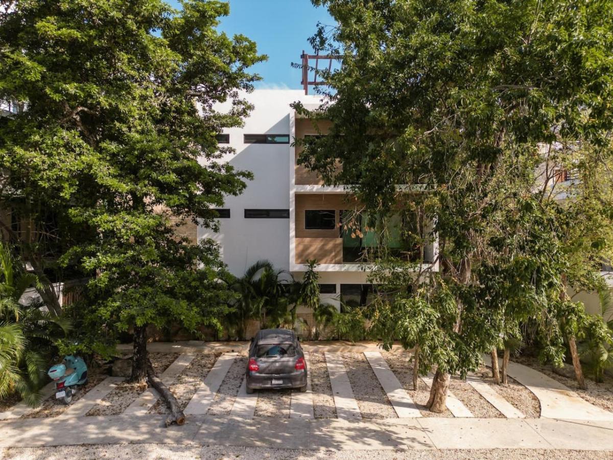 Selva Terra Sol Club Access