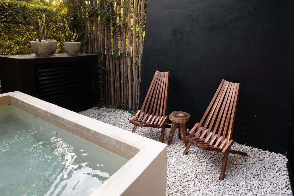 Villa Luxury Twin Villas, 4 Private Pools, 2 Rooftops, Bbq, Near Tulum