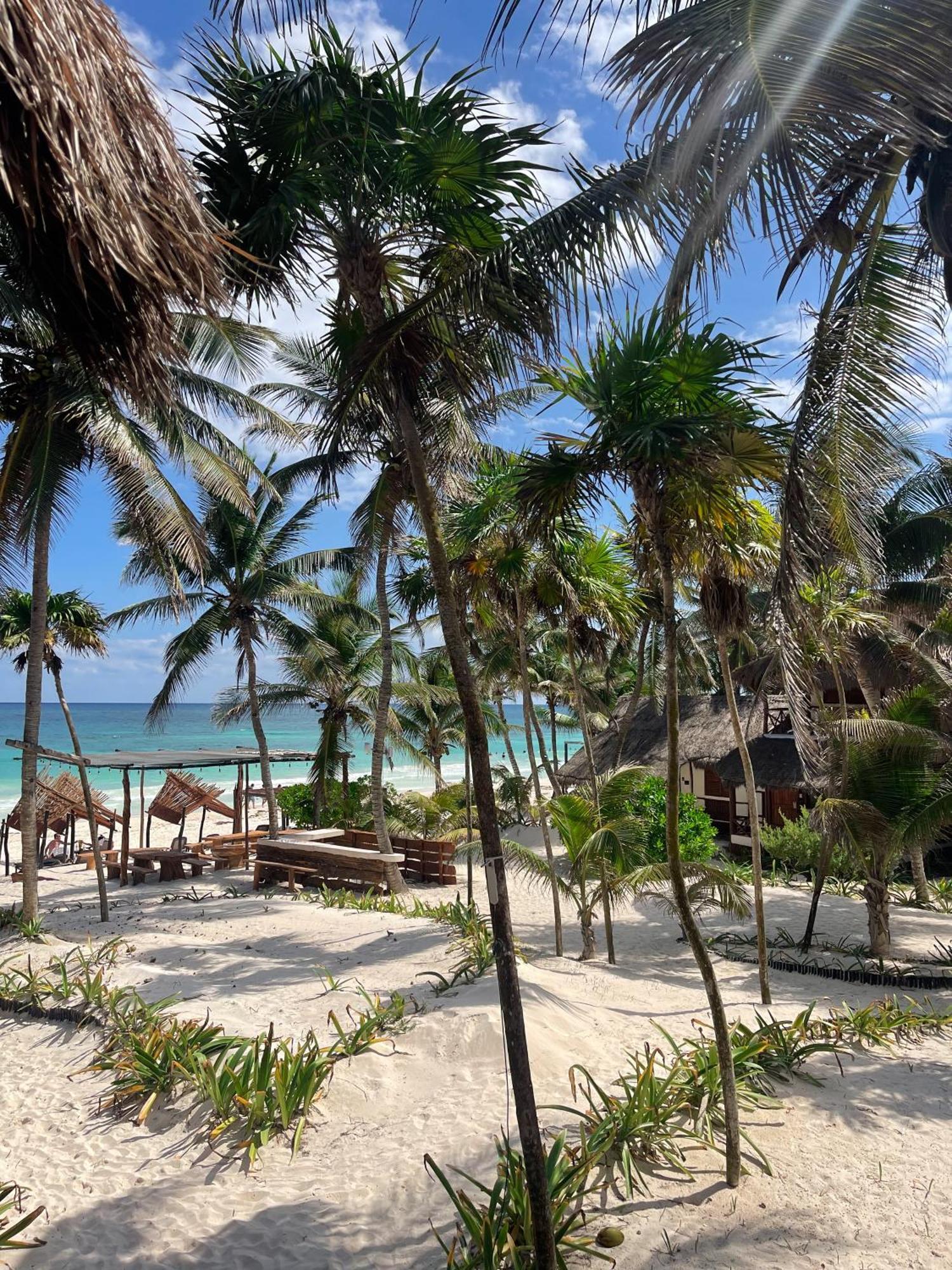Bt Live Located At The Party Zone 4* Tulum