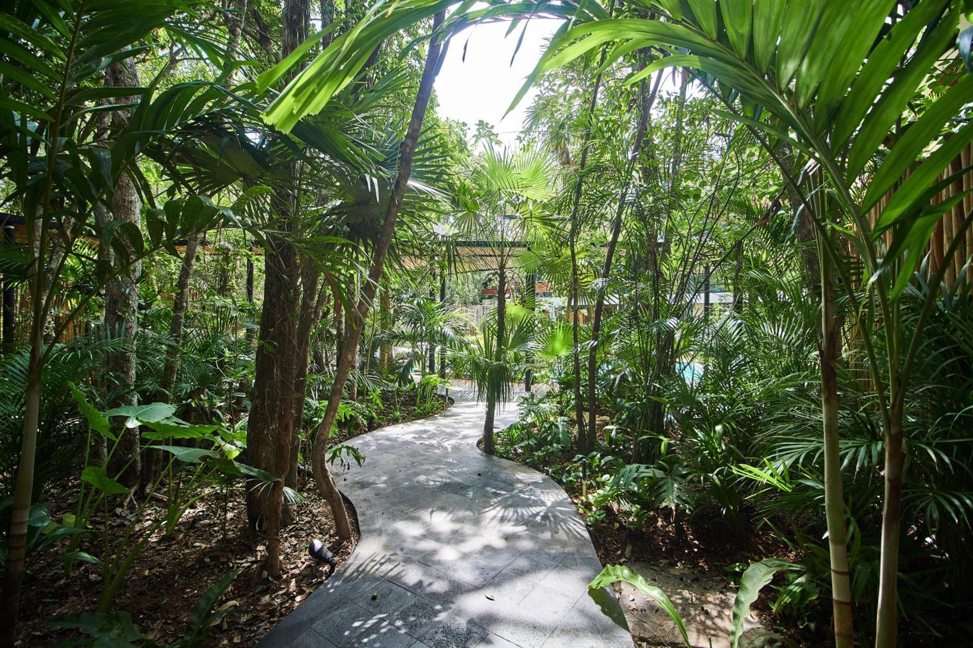 5 Star Luxury With Infinity And Cenote Pools * Tulum