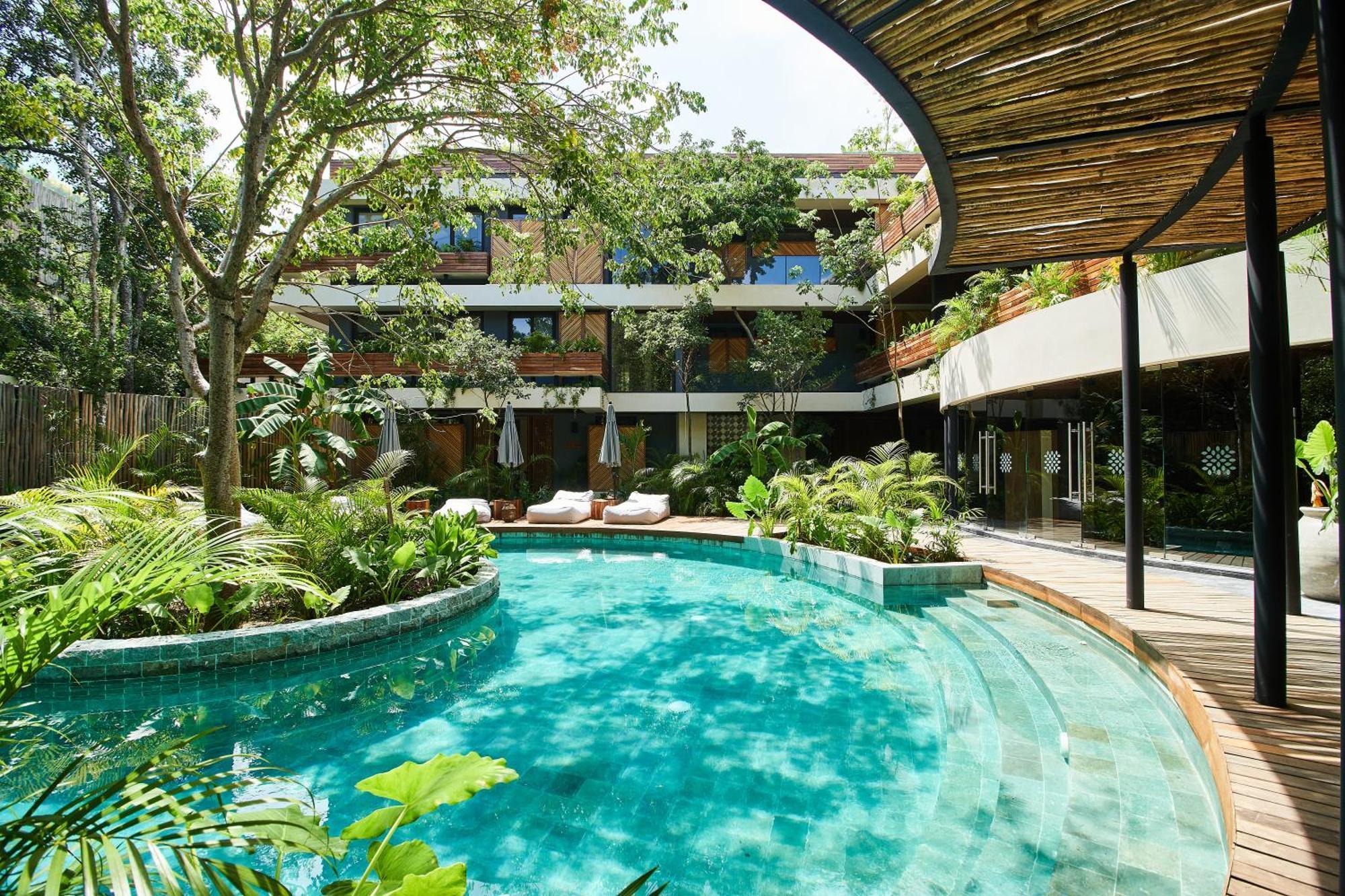 5 Star Luxury With Infinity And Cenote Pools