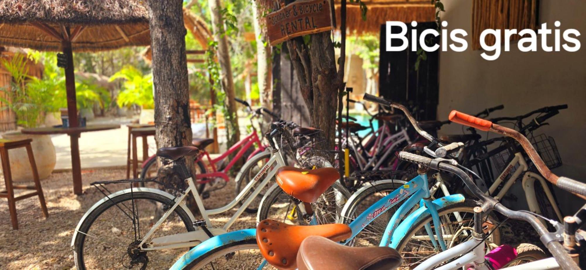 Kin Jungle Deluxe Guest house 3*