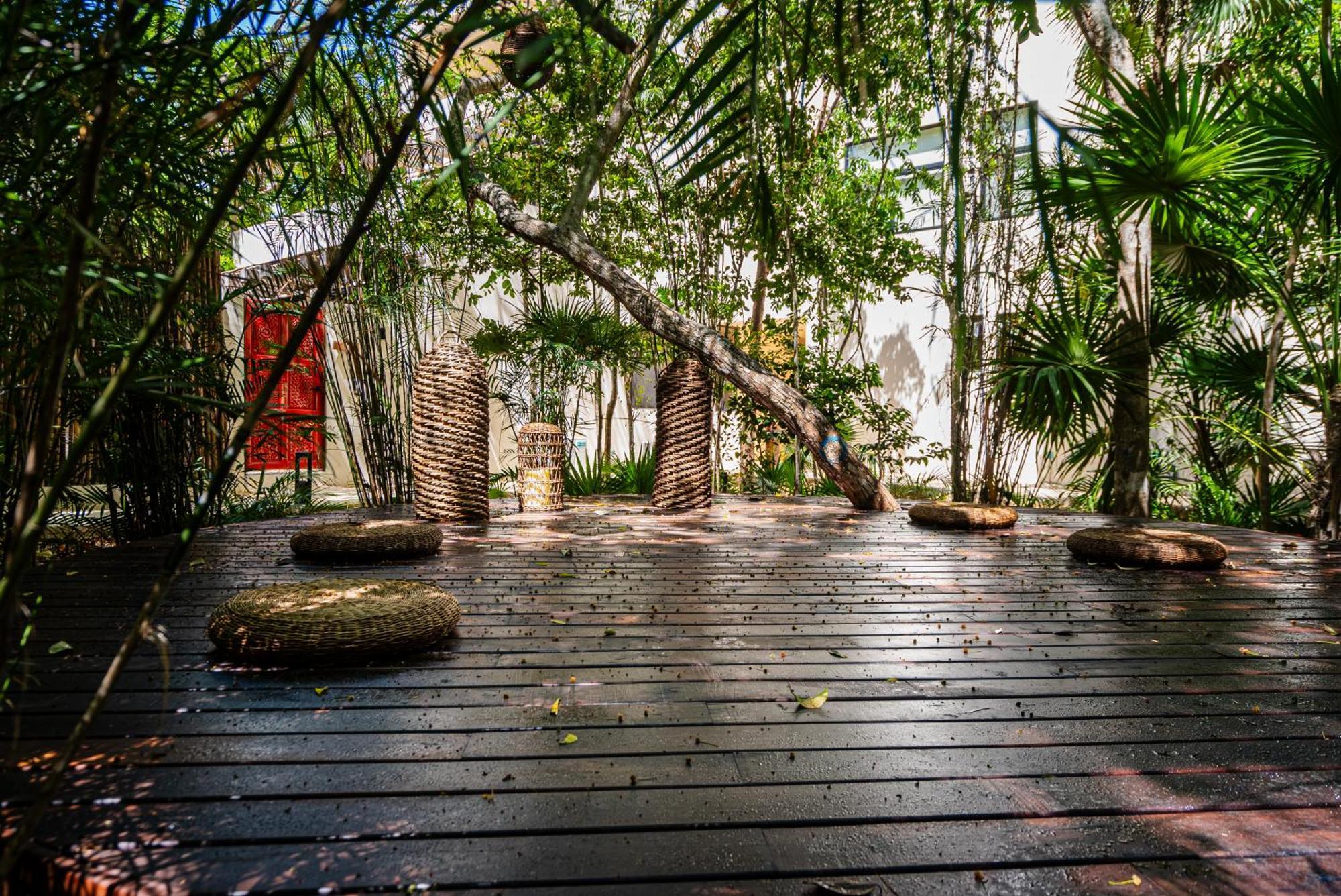 Apartment Penthouse With Private Jungle, Pool, Downtown