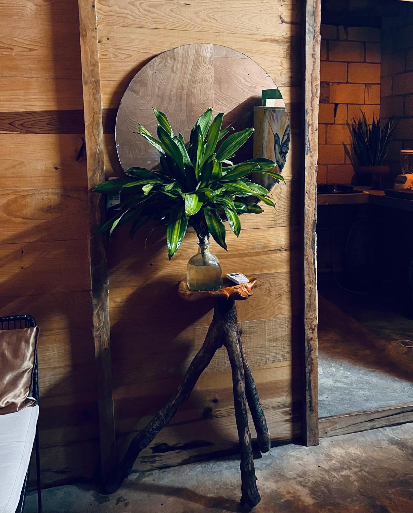Aventura * Tulum