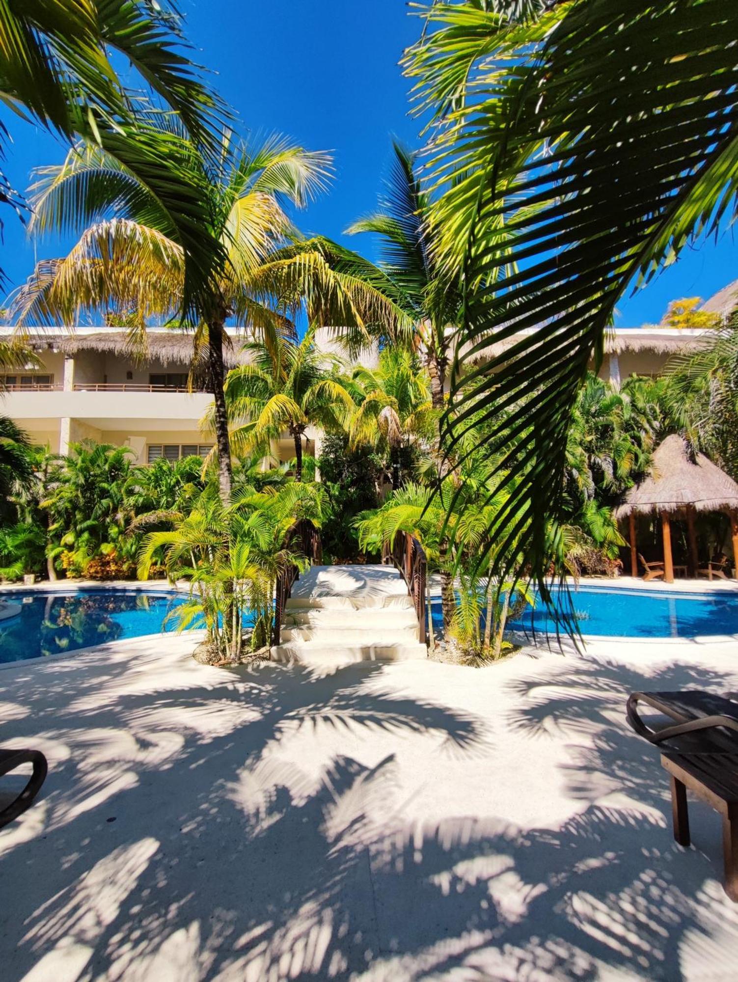 Apartment Spacious Penthouse With Private Rooftop In Gated Community *