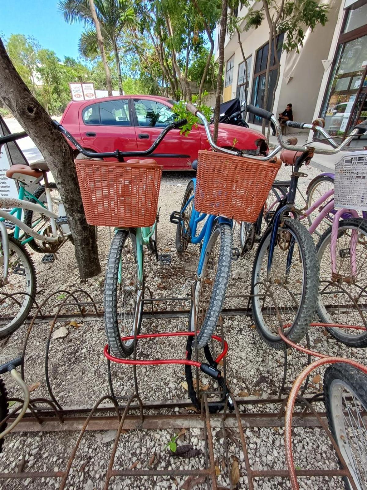 2 Bikes Free Exlusive Building Close To The Sea *