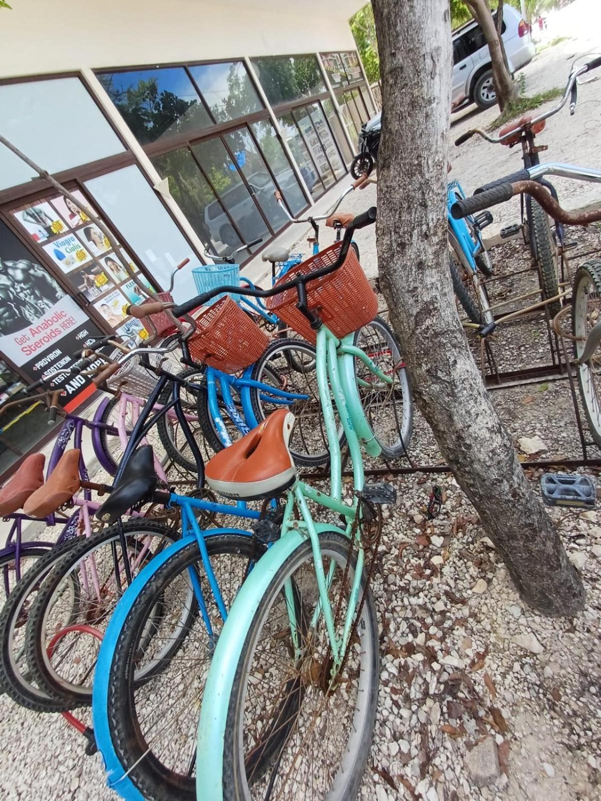 2 Bikes Free Exlusive Building Close To The Sea Holiday home
