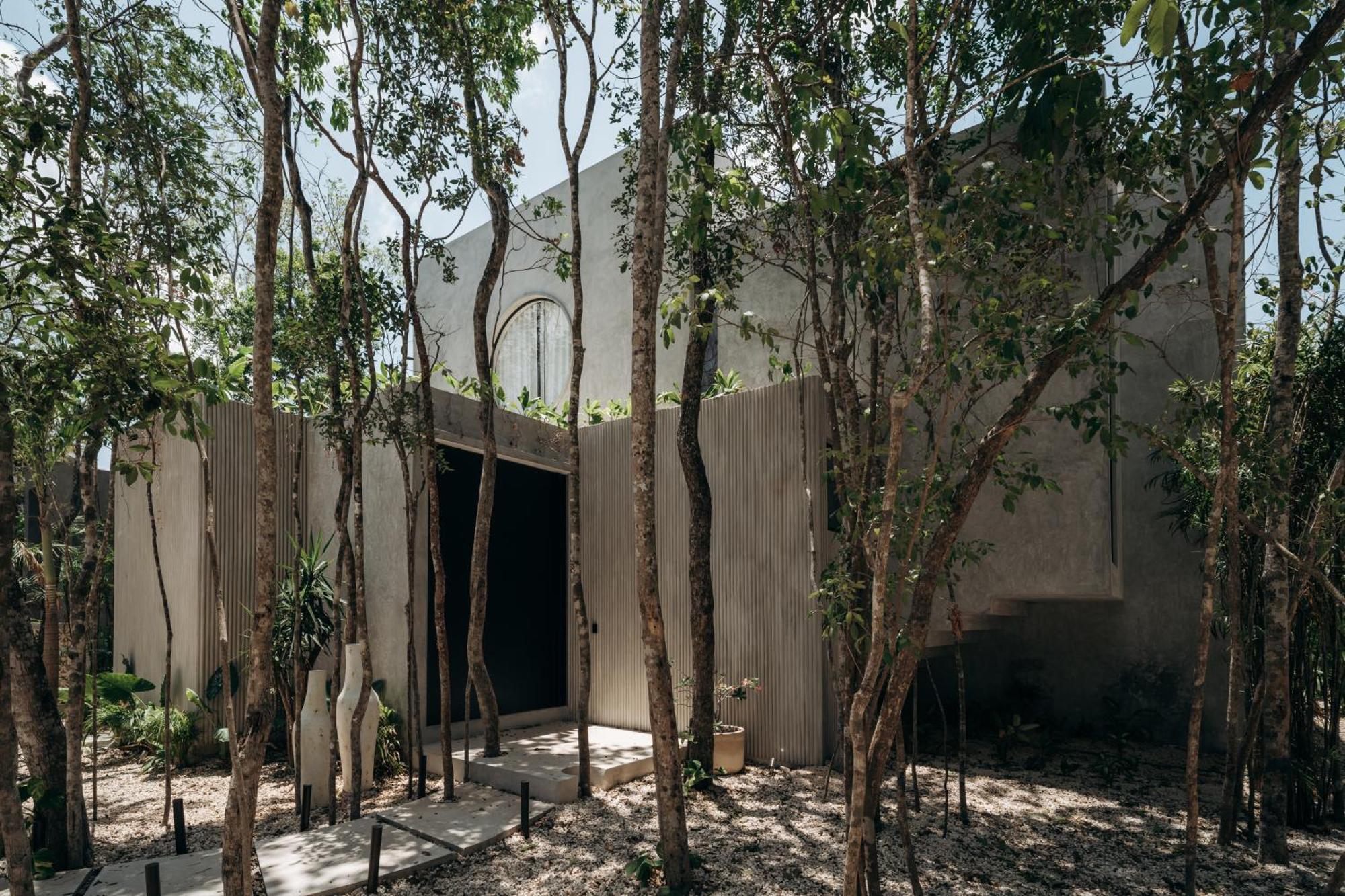 Lev - Celebrated Architectural Designer * Tulum