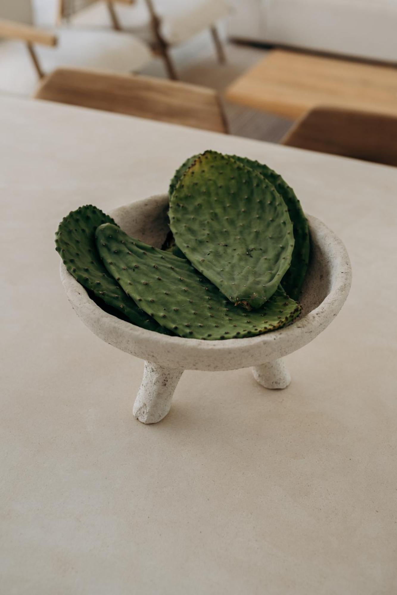 Lev - Celebrated Architectural Designer Villa Tulum