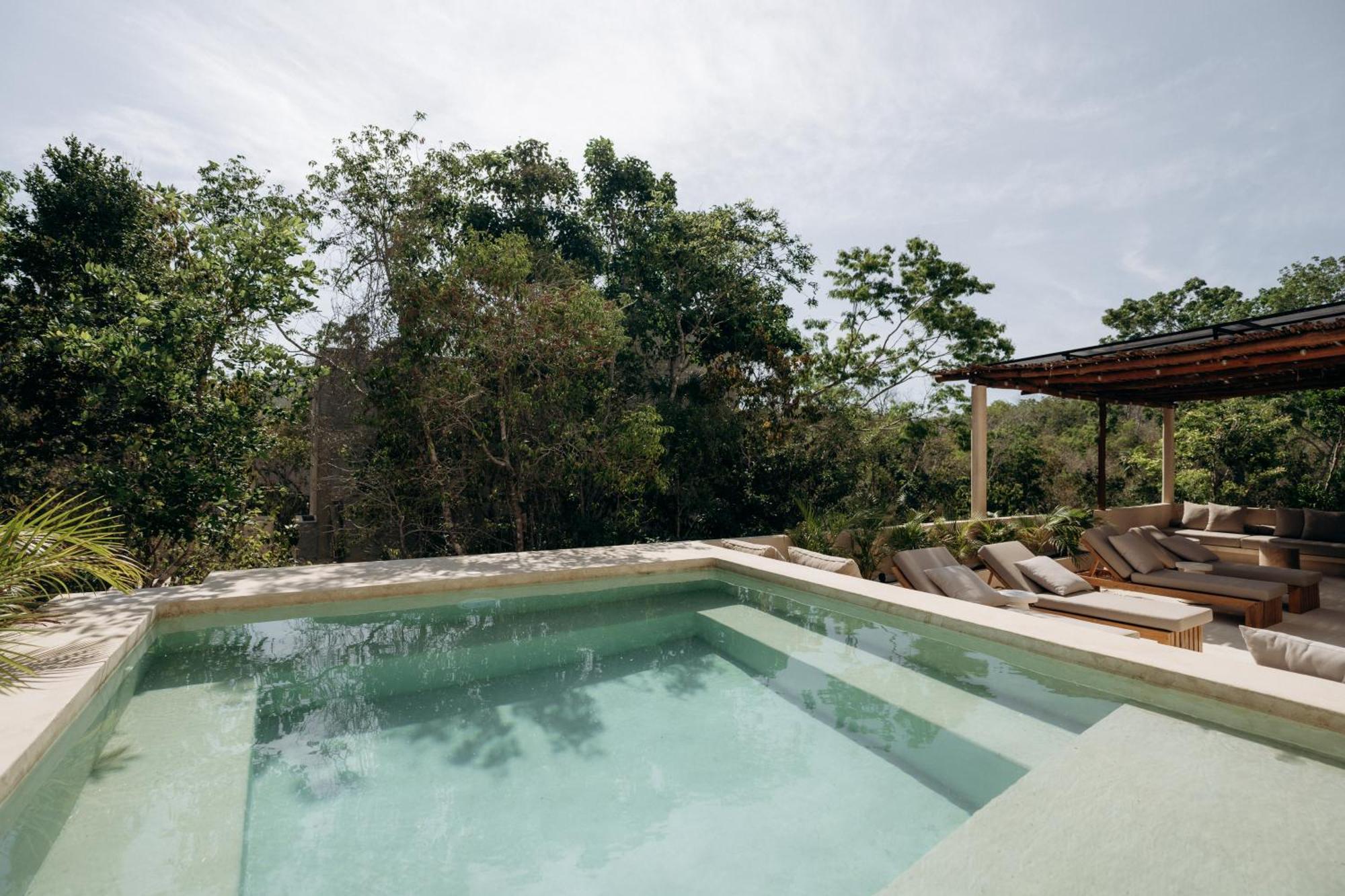 Tulipan Bohemian Casa de férias