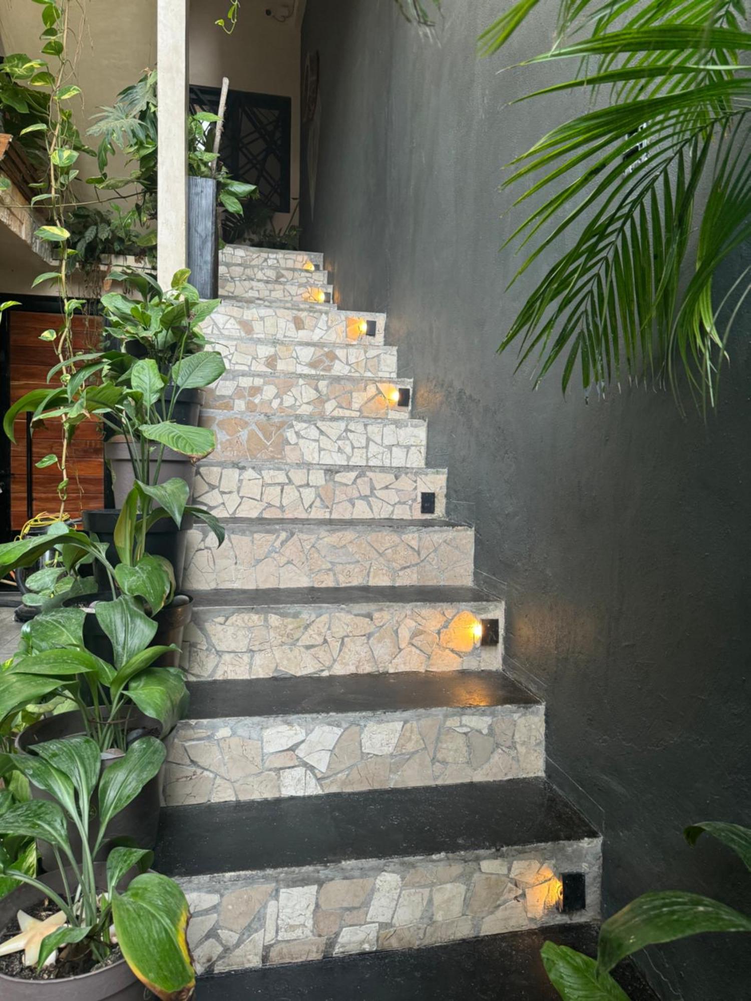 Apartamento Jr 1habitacion Tulum
