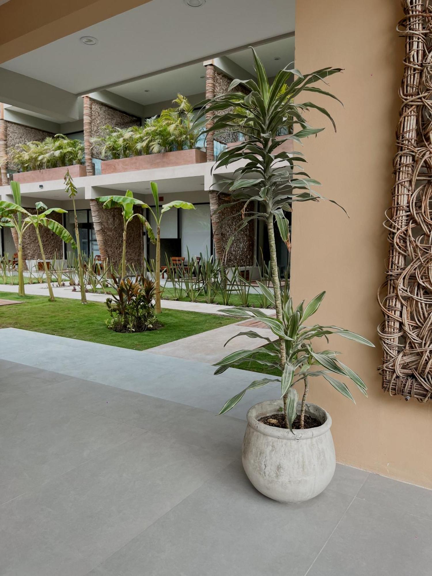 Xamira Nomad Oasis Aparthotel