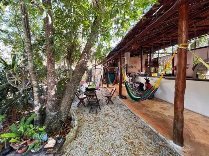 Mulut Guest house Tulum