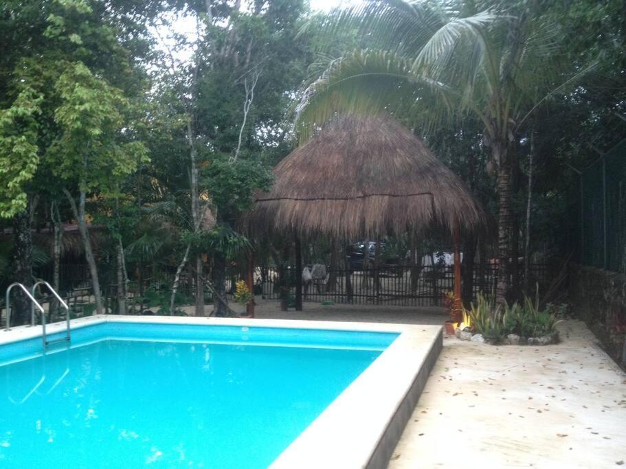 Nicte 12 Guest 4brd *