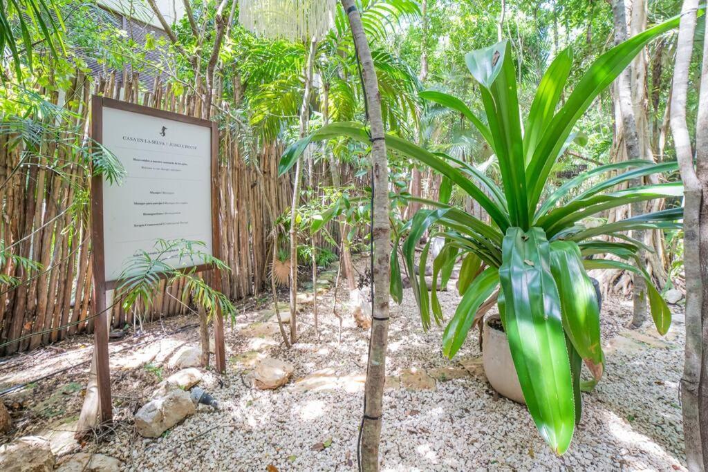 Exclusive Ph Art House Free Access 2 The Apartment *