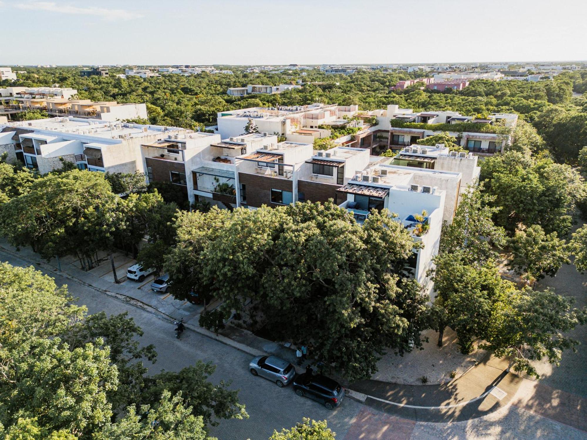 Beautiful 3 Bdr, 3 Ba Modern Minutes From Tulum