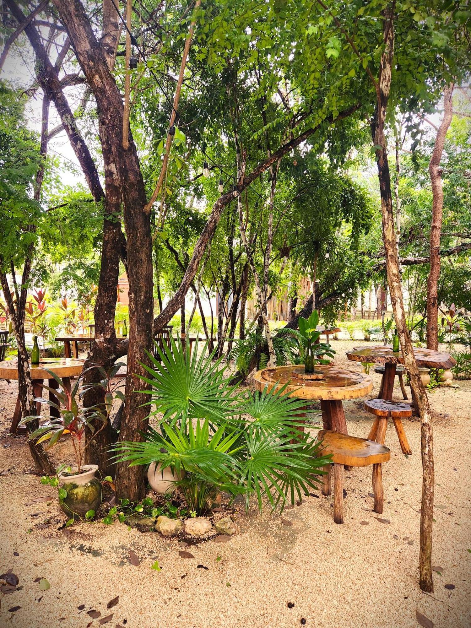 Villa Selva Norte - - 3 Bdr - Roof & Jacuzzi Tulum