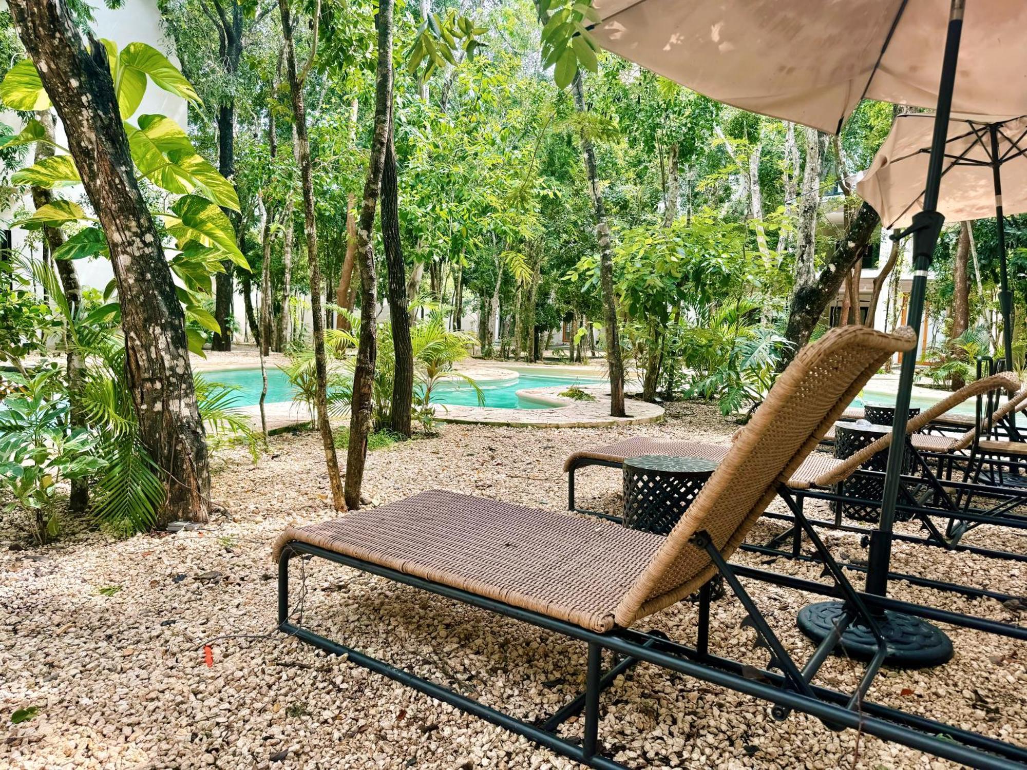 Apartment Jungle 10 Mins To Beaches Y Trendy Hotspots *