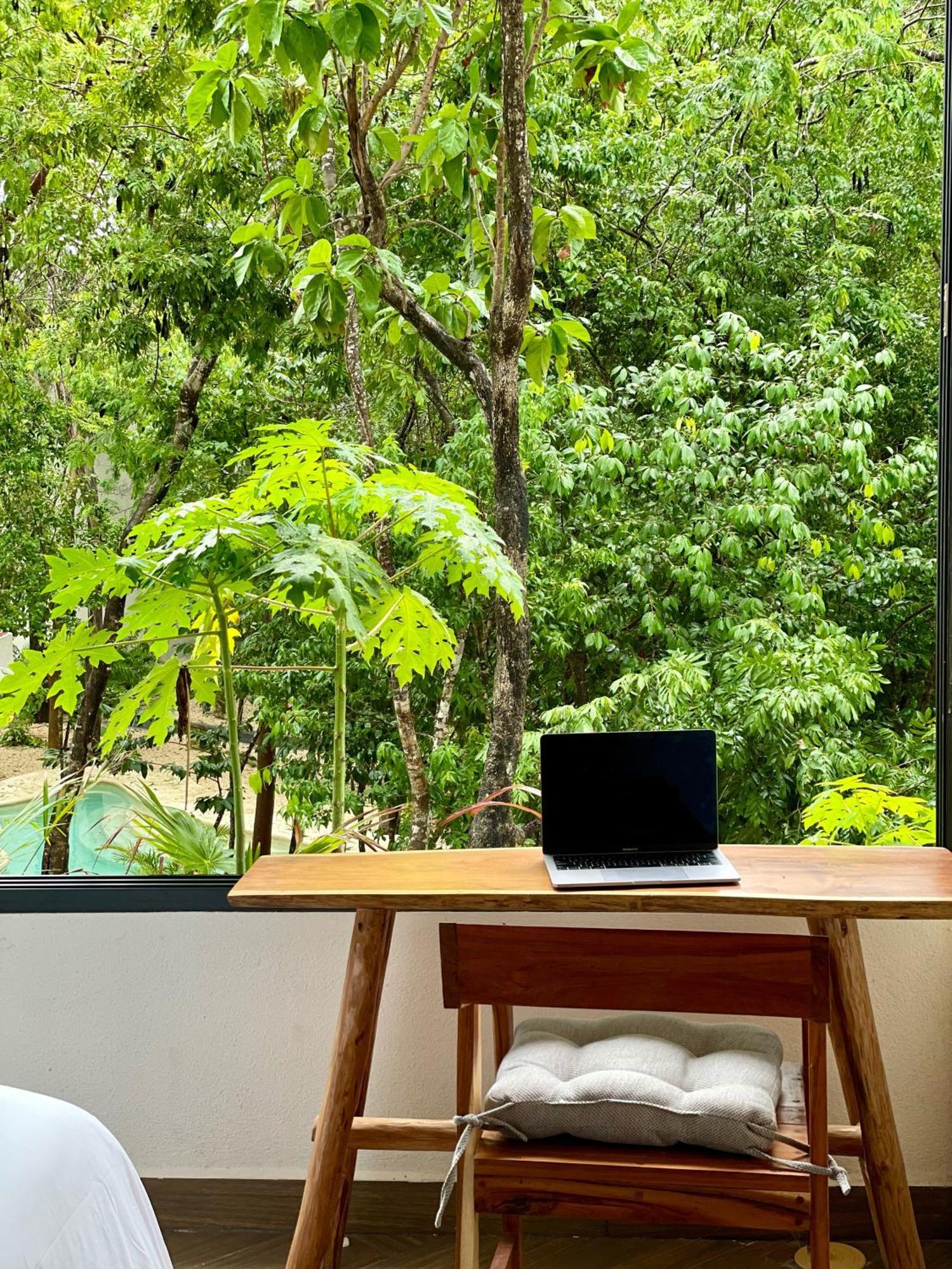 Apartment Jungle 10 Mins To Beaches Y Trendy Hotspots