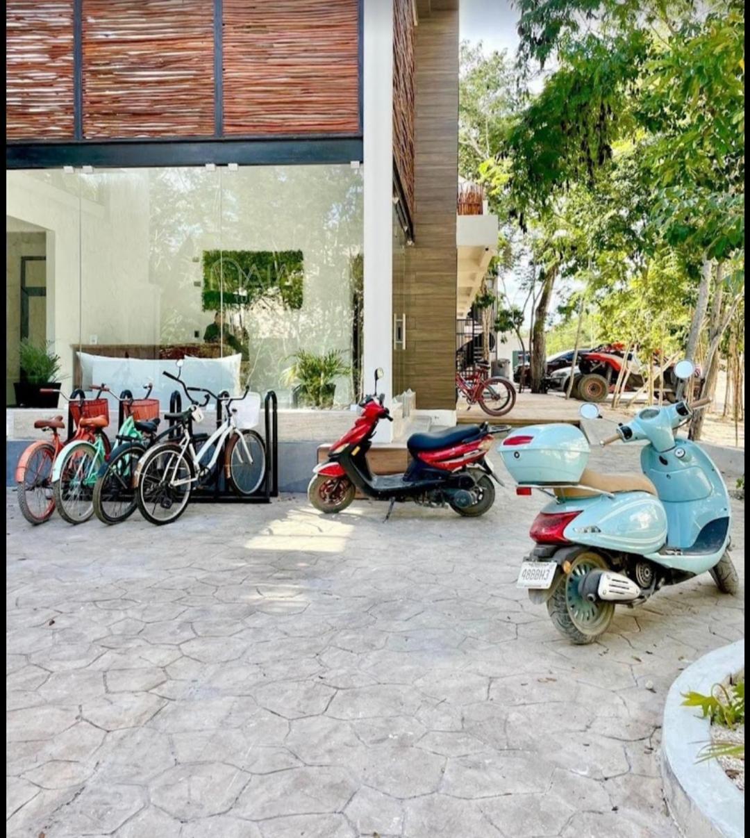 Jungle Oasis Studio: Beachside Retreat With Pool And Amenities Apartment