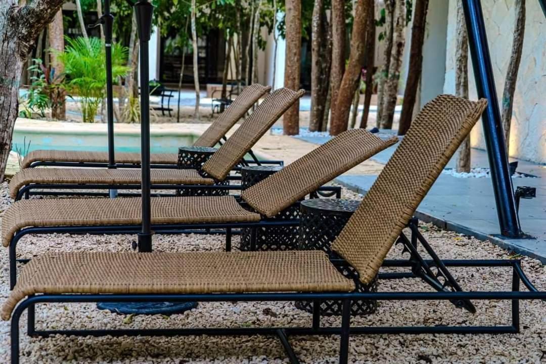 Apartment Jungle Oasis Studio: Beachside Retreat With Pool And Amenities