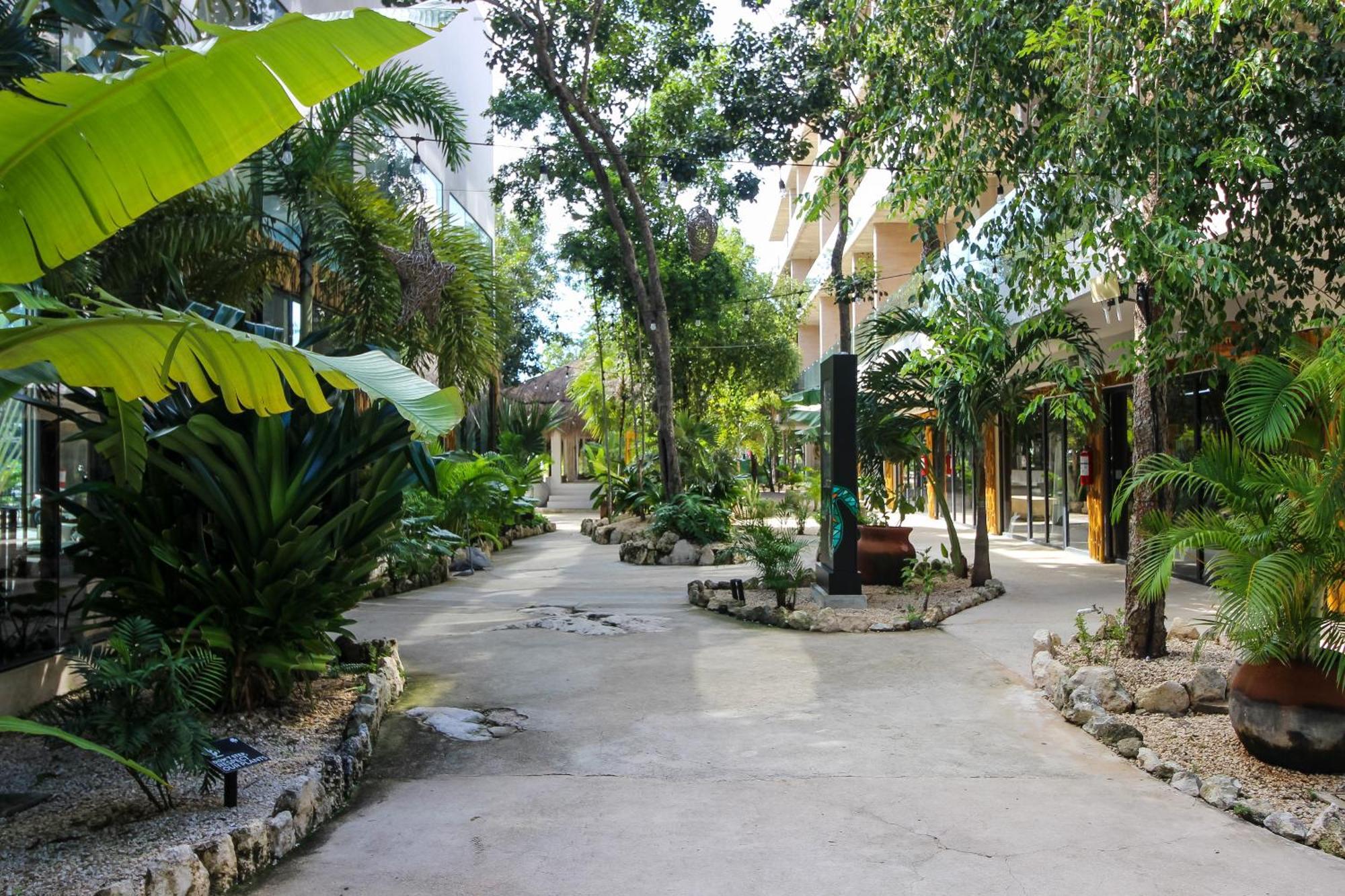 Apartment Luxury With Balcony And Rooftop Pool In Location *