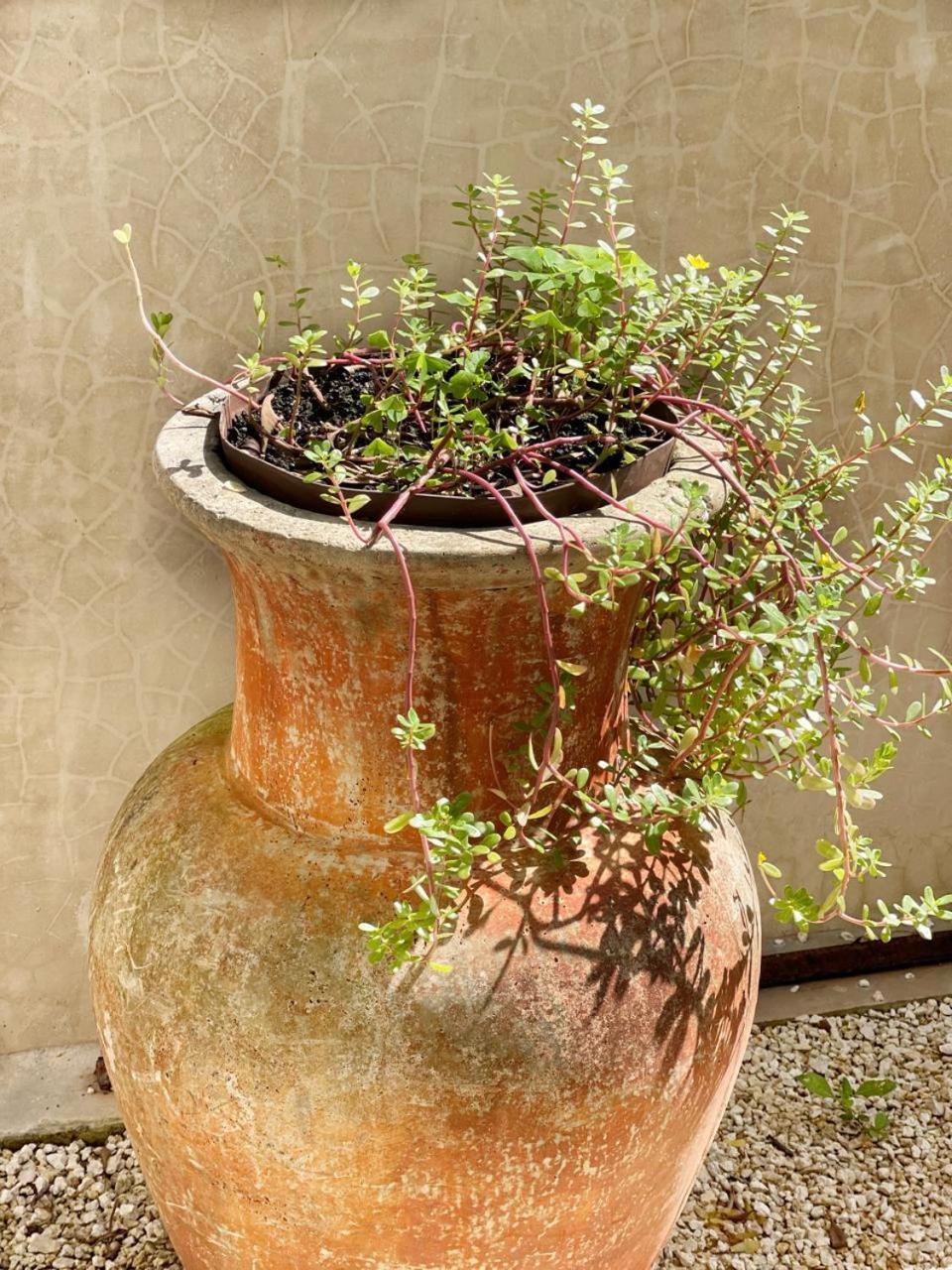 Luxury House Tomanoa - 10pers - 4rooms - Pool - Hotjacuzzi - Speed Wifi -waterfall Tulum