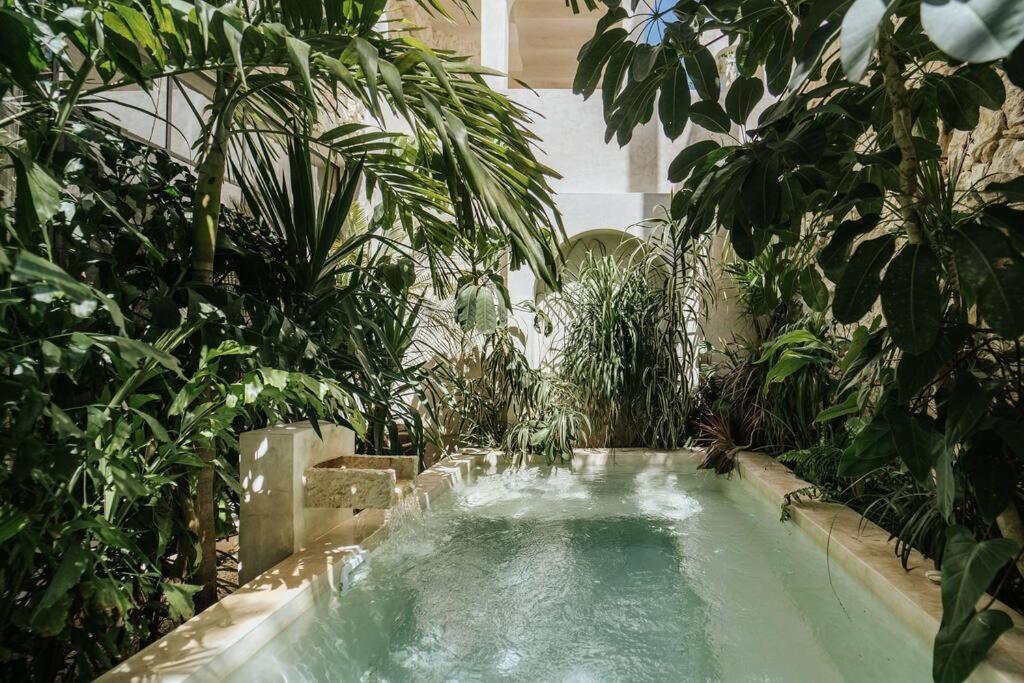 Apartment Design Casa Nautilus Tulum