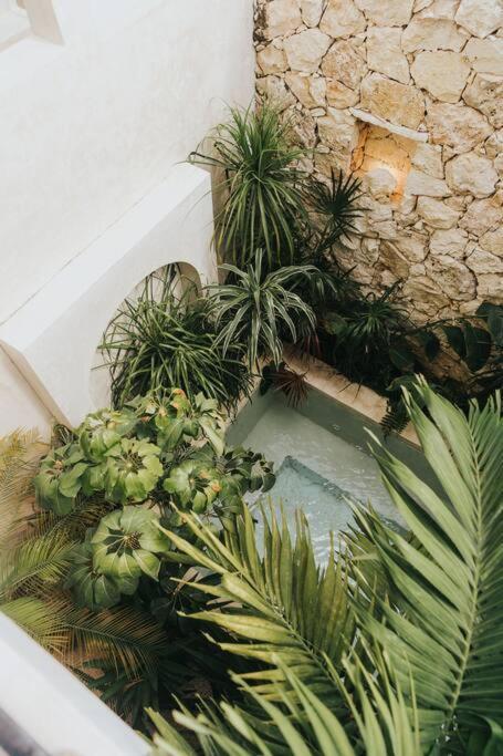 Design Casa Nautilus Apartment *