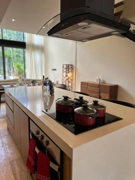 Luxury 2 Bdr - La Veleta Apartment *