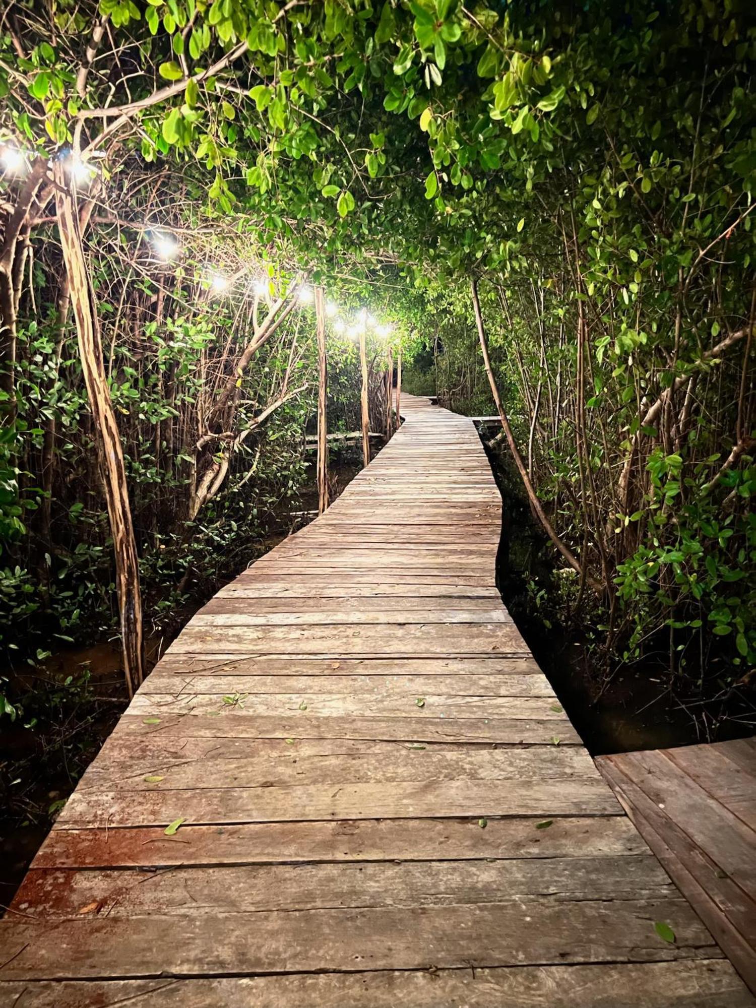 Caiman Habitat Tulum