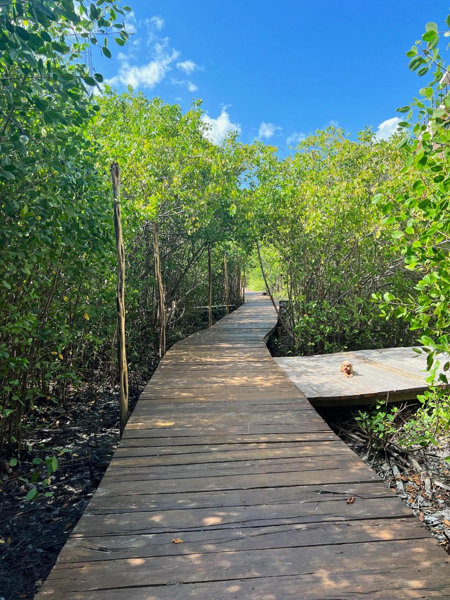 Hotel Caiman Habitat