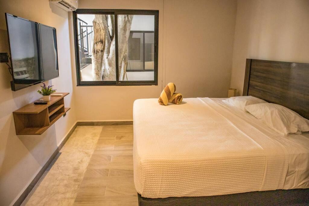 1 Bedroom In Downtown Walking Distance From Bars Apartment *