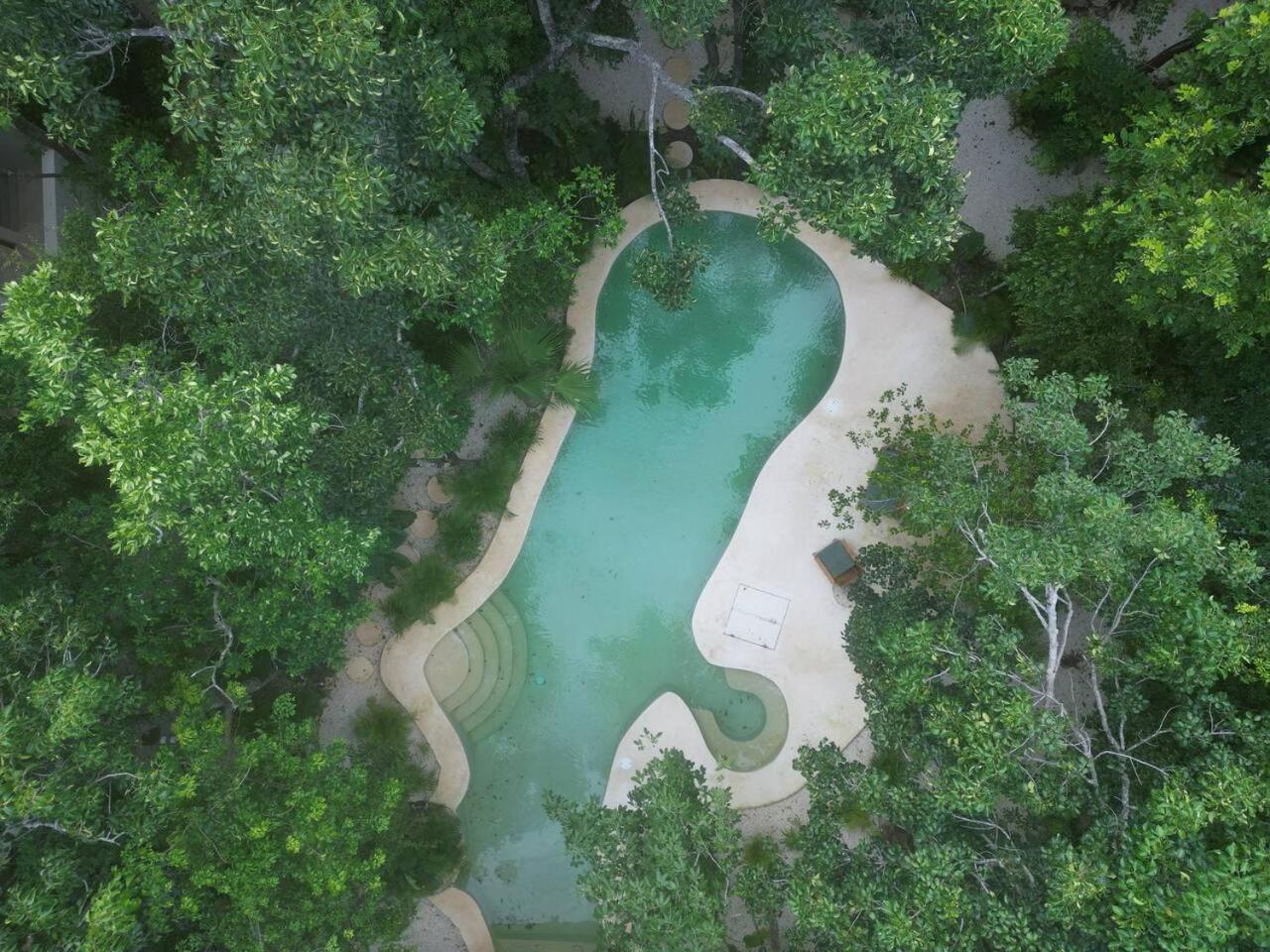 T1ph New Breathtaking Penthouse And Rooftop Tulum