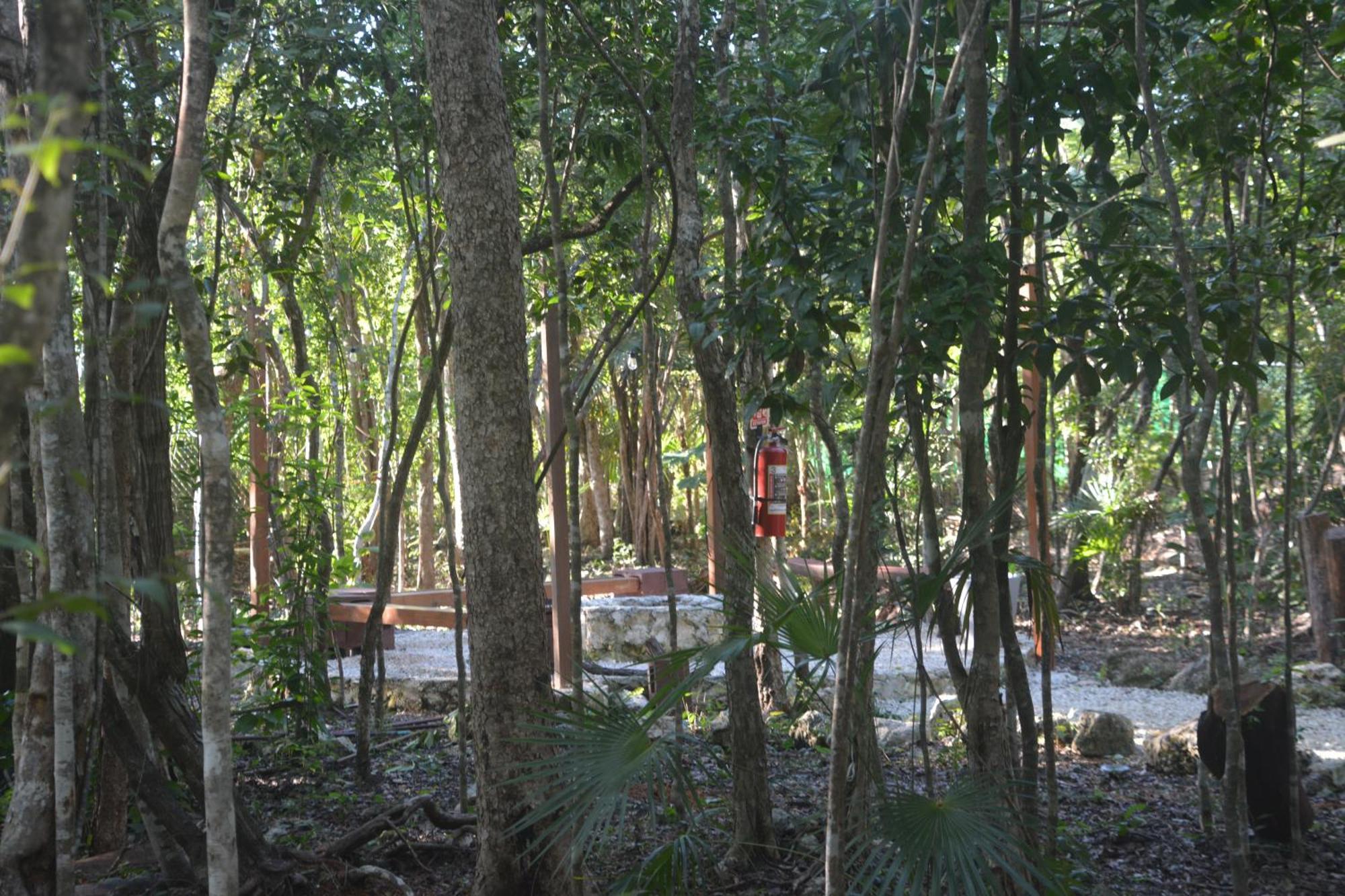 Glamping Mayan Glam *