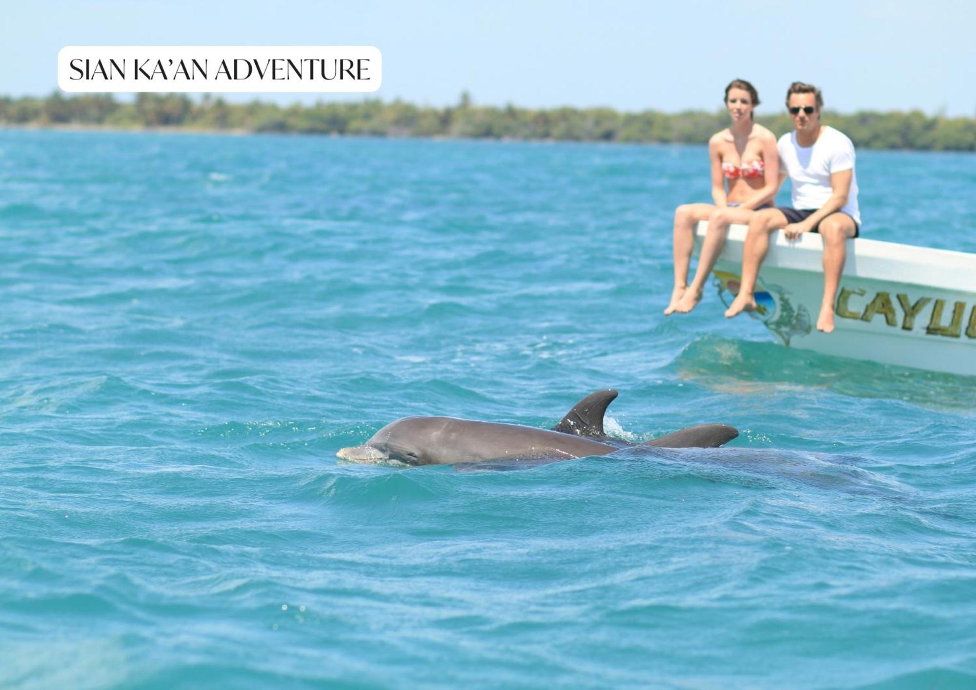 Apartamento 2br 2ba With 2 Pools, Gym, Yoga Deck And Bbq Grill Tulum