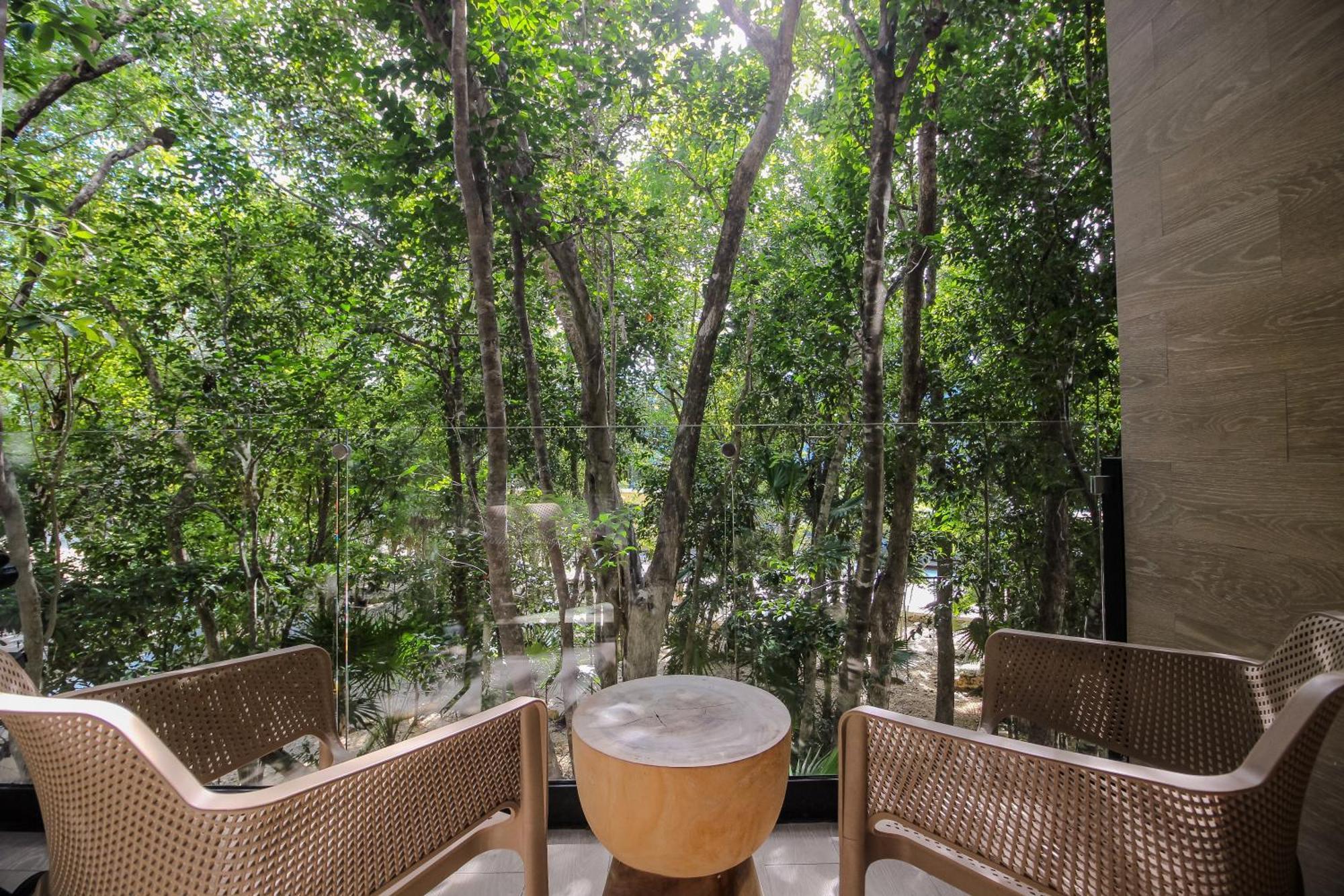 Premium With Rooftop Pool Tulum