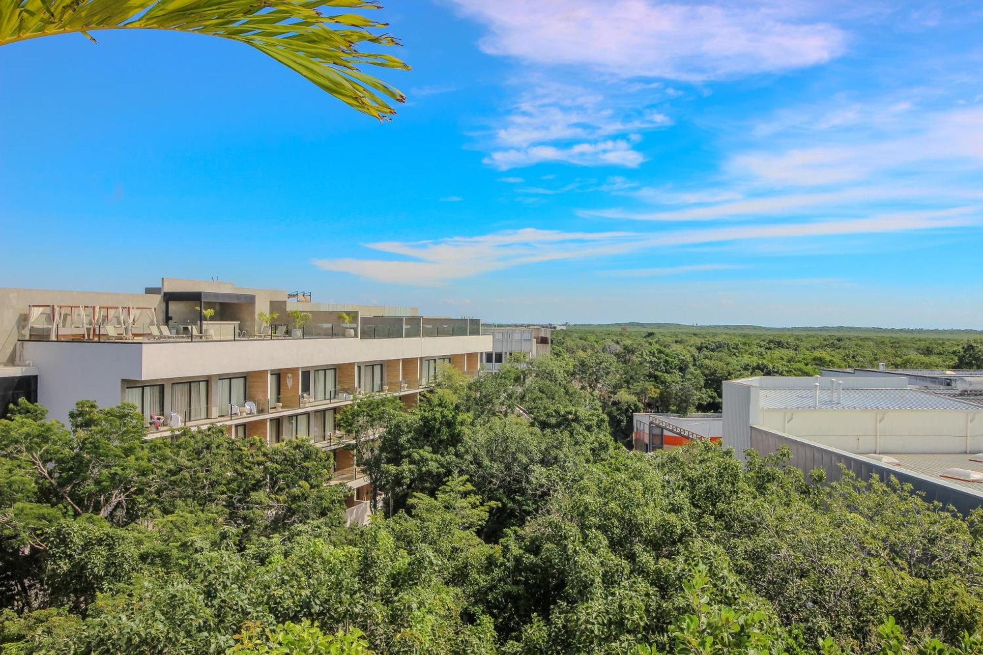 Premium With Rooftop Pool Apartment *