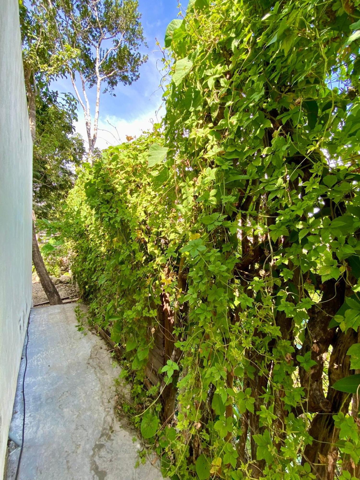 Casa Kuma Holiday home *