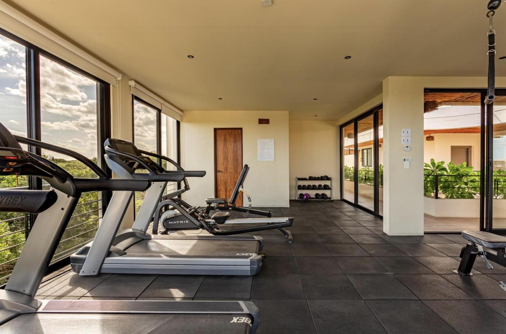 Lux Jungle Near Tulum