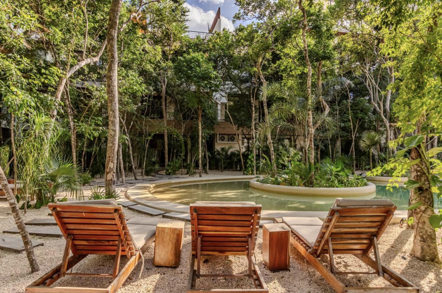 Apartment Lux Jungle Near