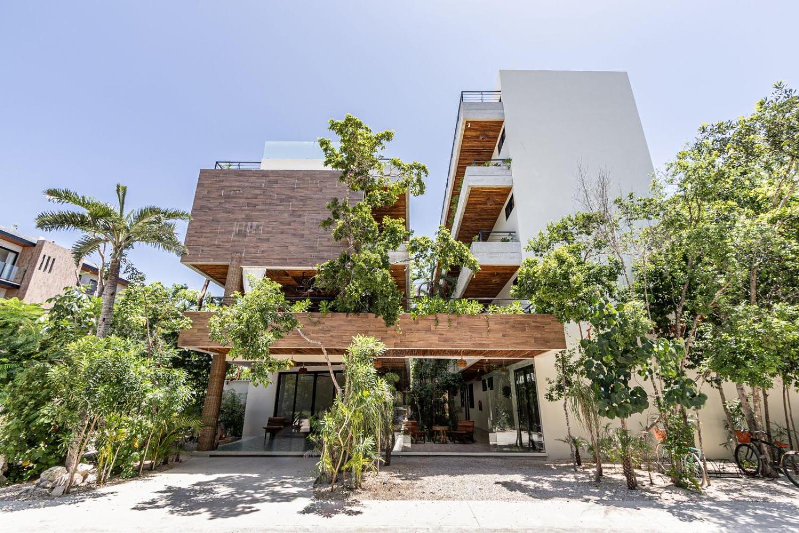 Lux Jungle Near Apartment *