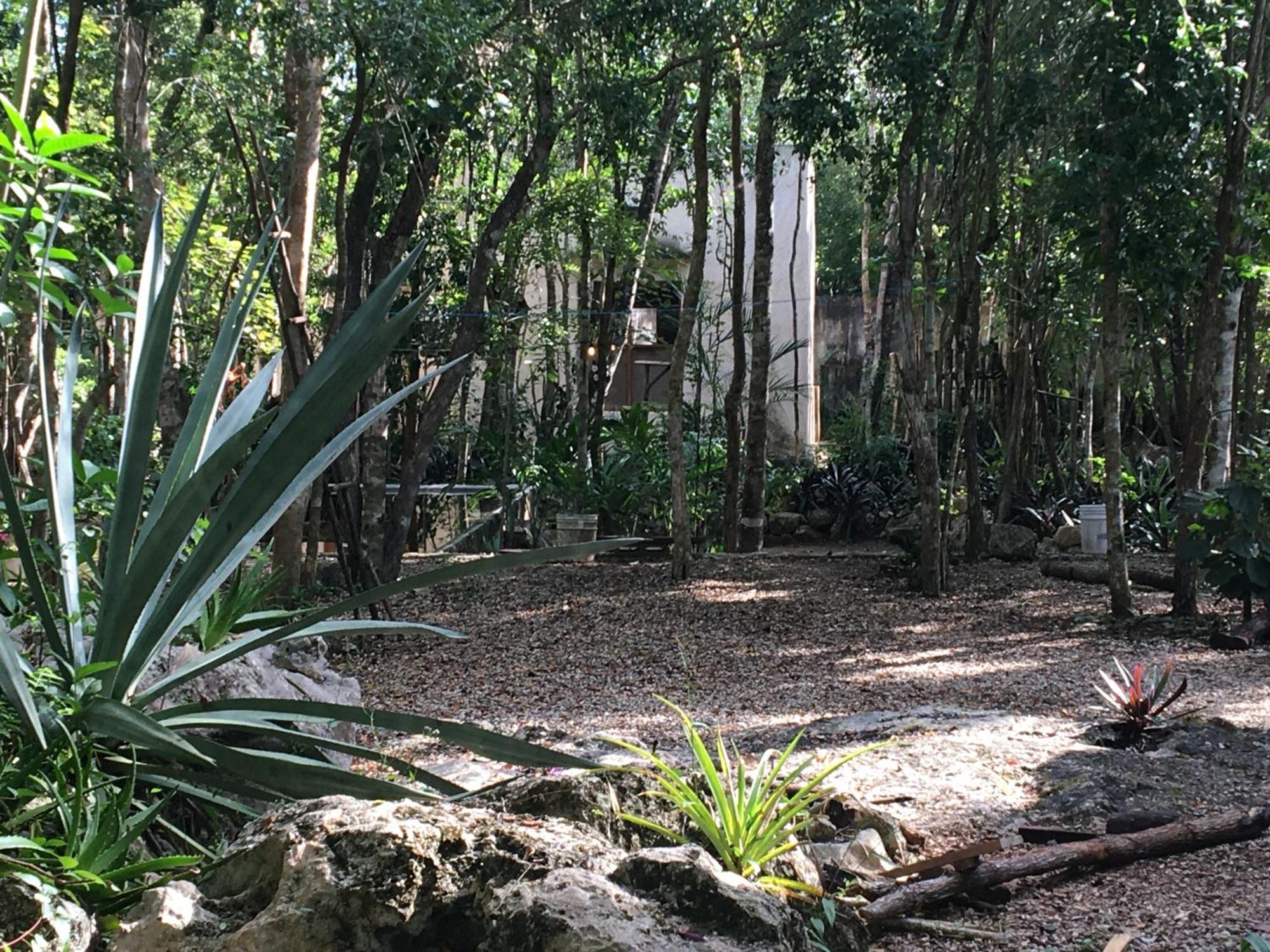 Barefoot Jungle * Tulum